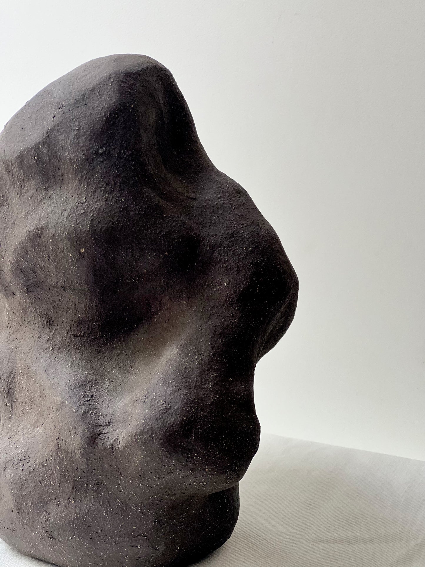 Sculpture: Cloud Forest 04