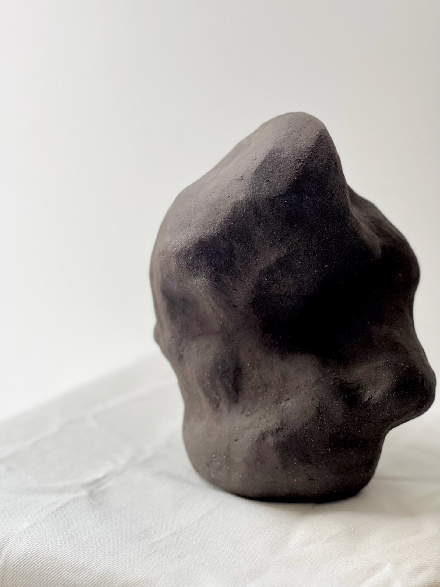 Sculpture: Cloud Forest 04