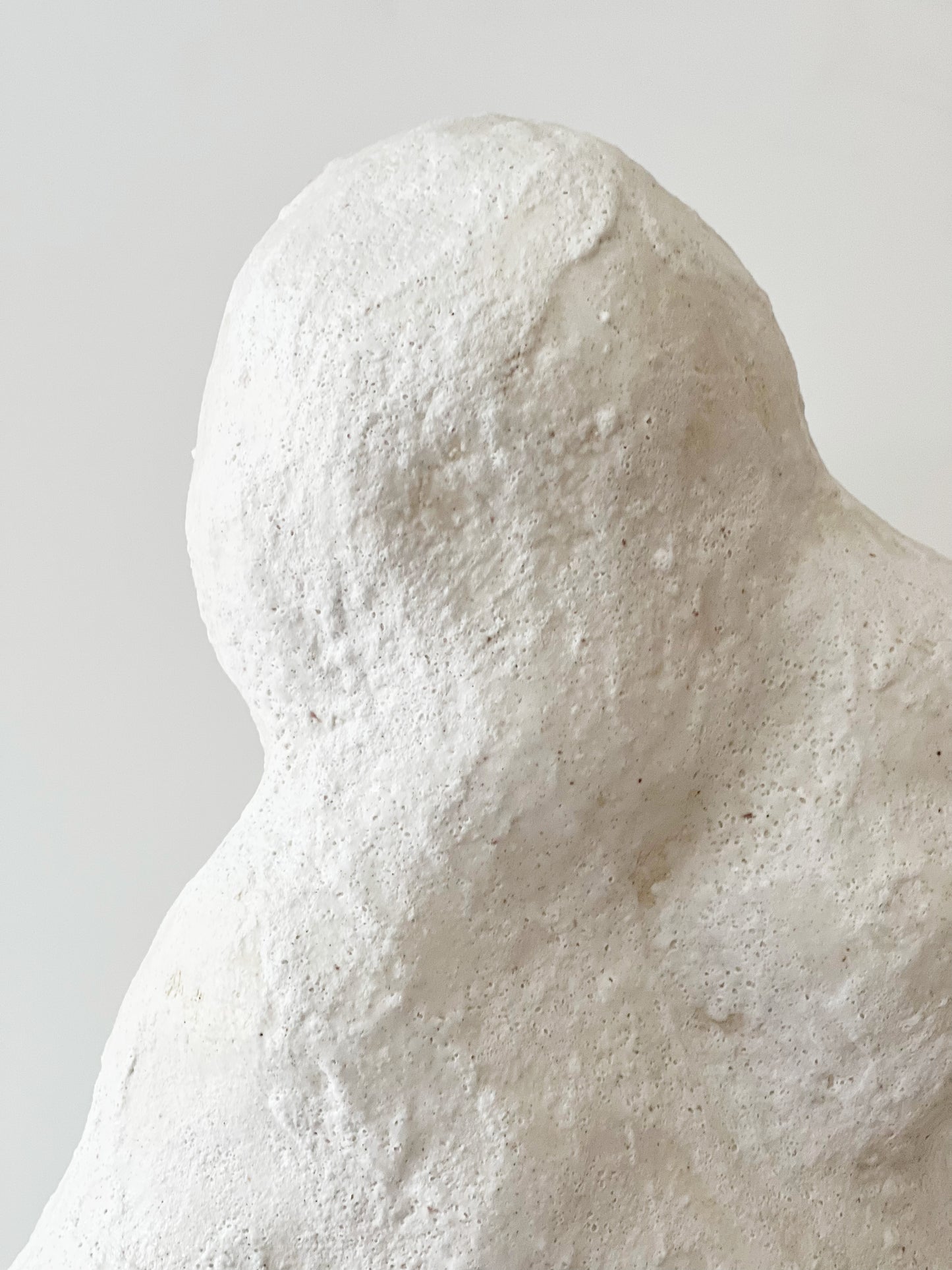 Sculpture: Cloud Forest 01