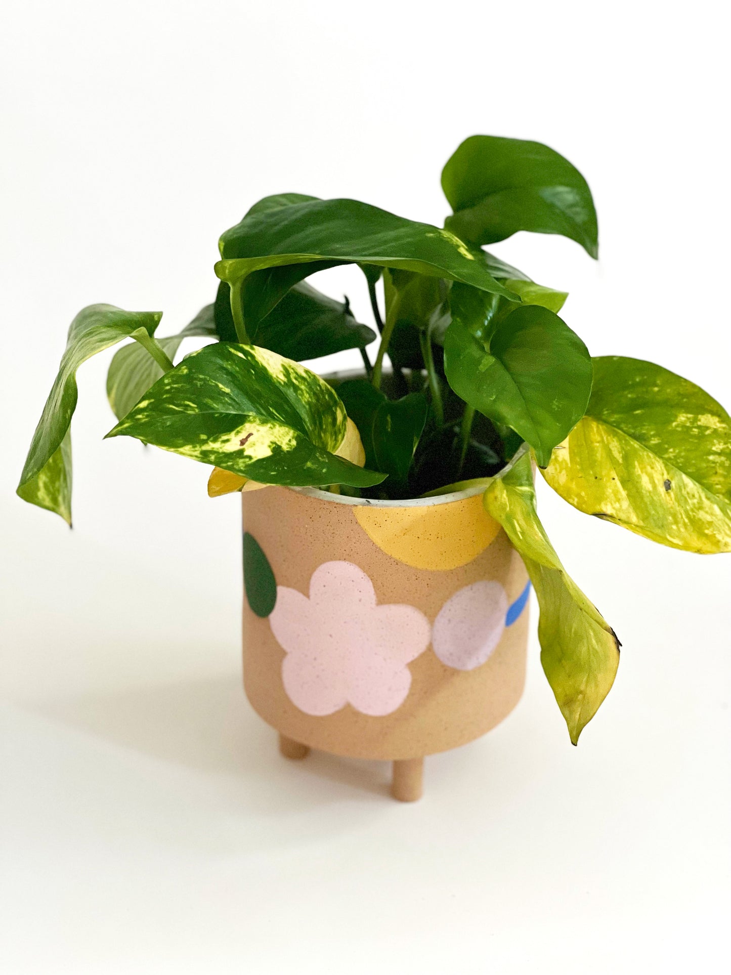 Cutout Nature on Speckles Handmade and Hand-painted Ceramics Planter