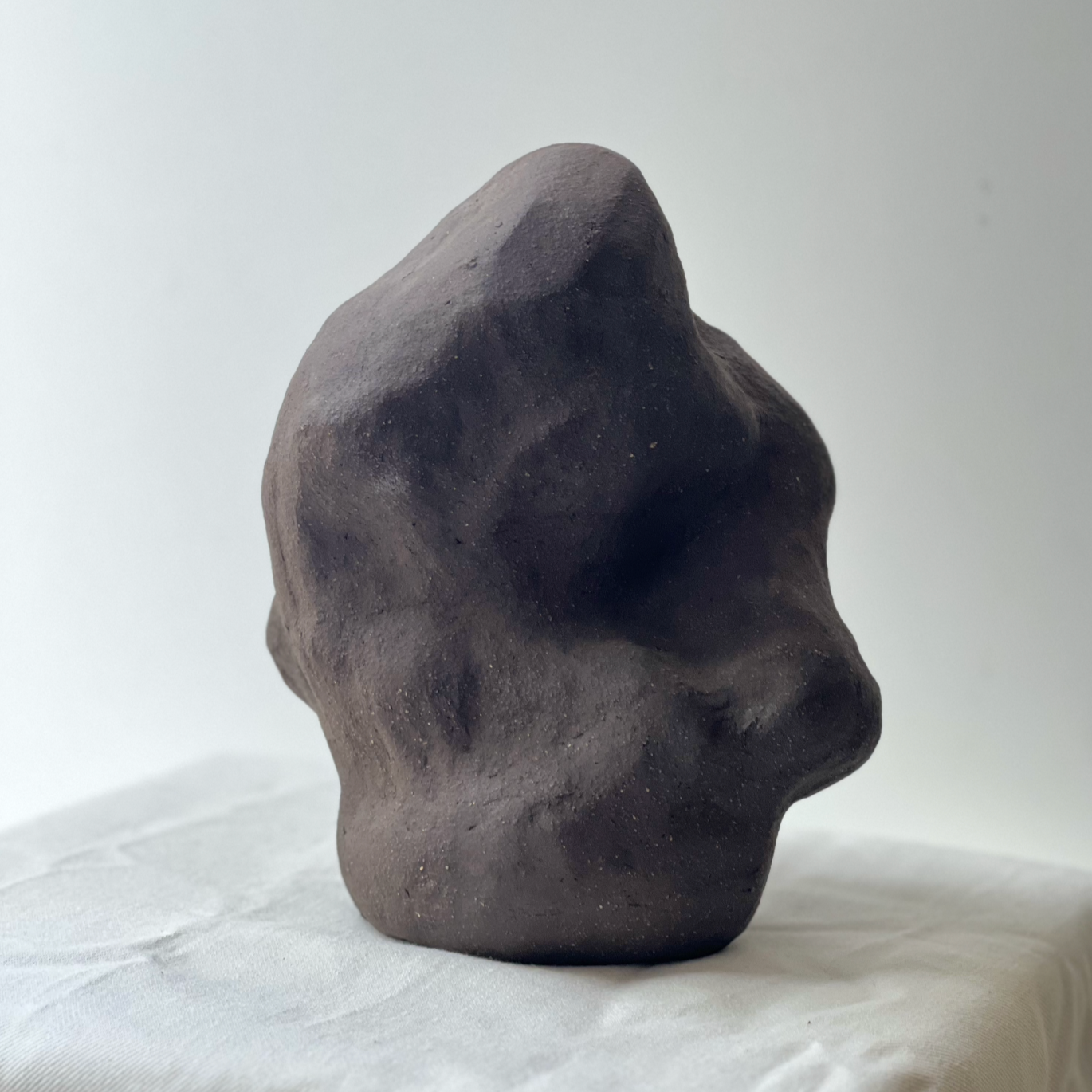 Sculpture: Cloud Forest 04