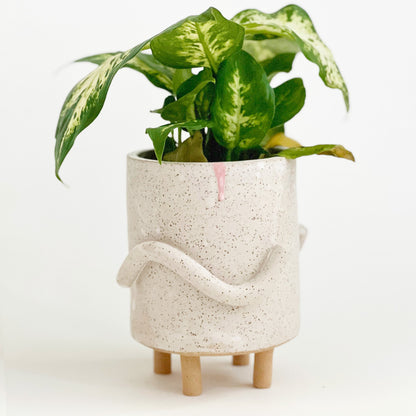 Matte Squiggles on Speckles Planter