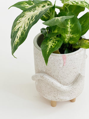 Matte Squiggles on Speckles Planter
