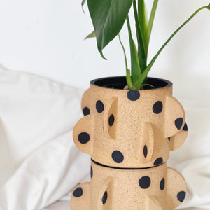 Black Dots Cactus Planter /Vase