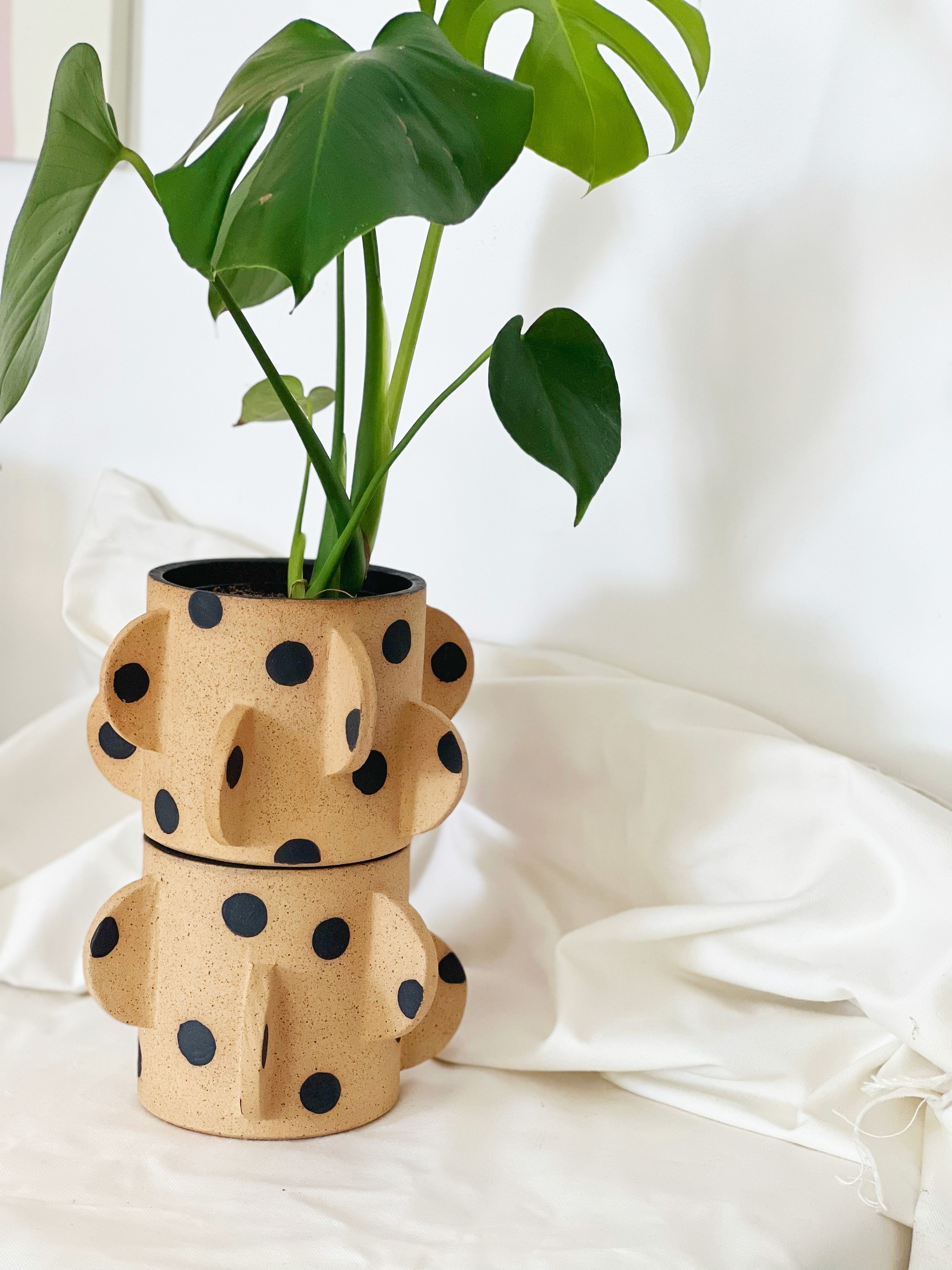 Black Dots Cactus Planter /Vase