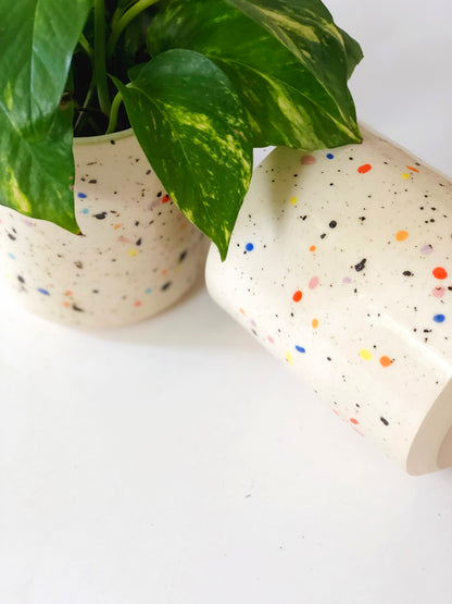 Double Sprinkles Planter