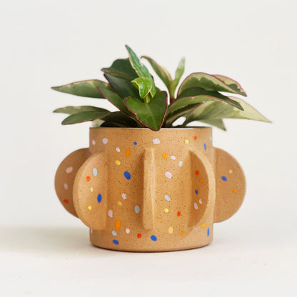 Cactus Planter ( Sprinkles on Speckles)