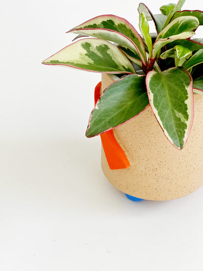 Mountain and Shapes on Speckles Planter