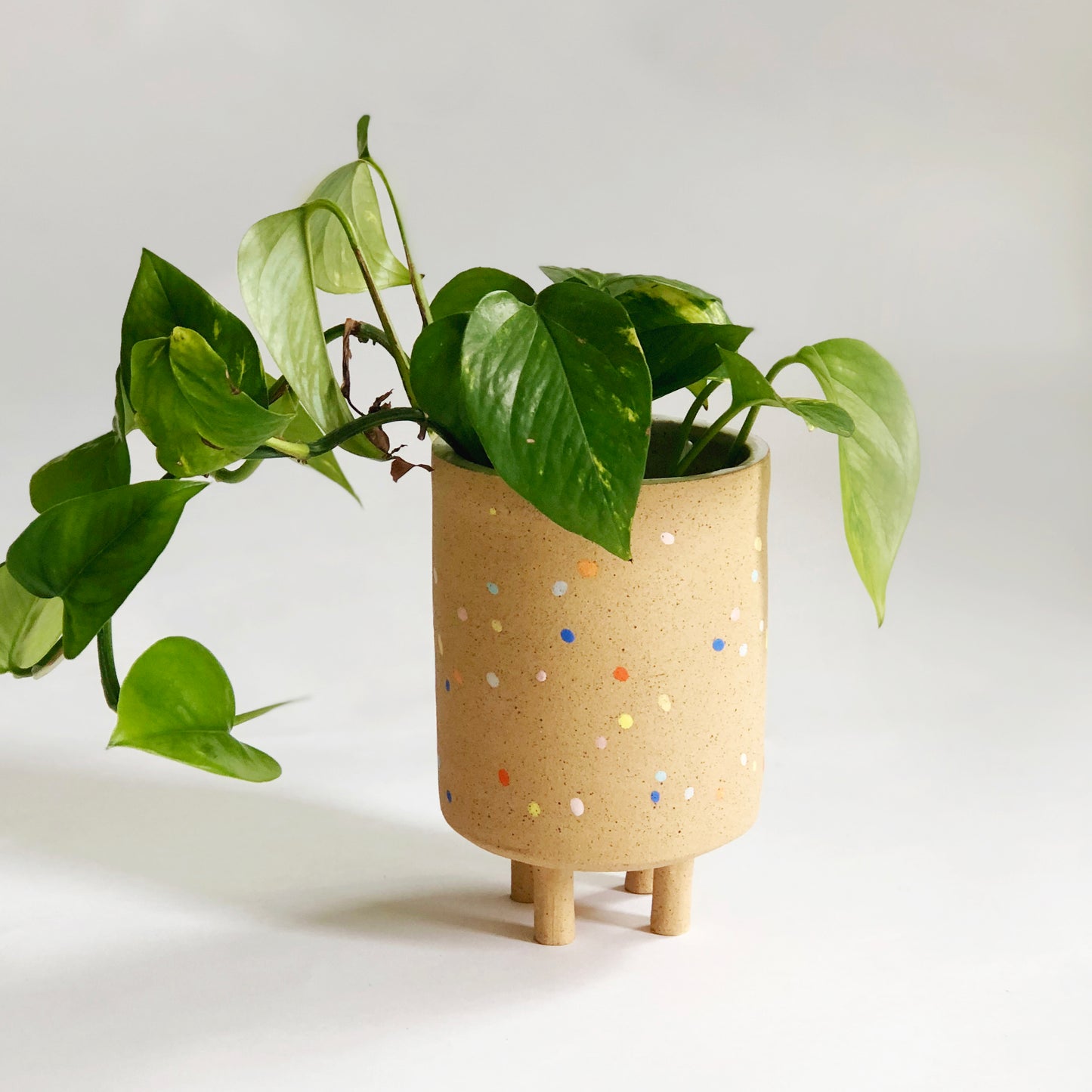 Sprinkles on Speckles Planter with Legs