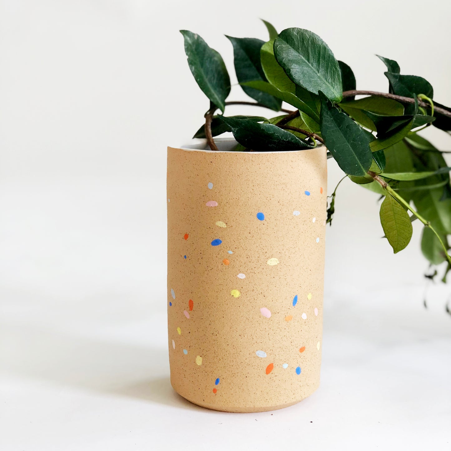 Sprinkles on Speckles Vase