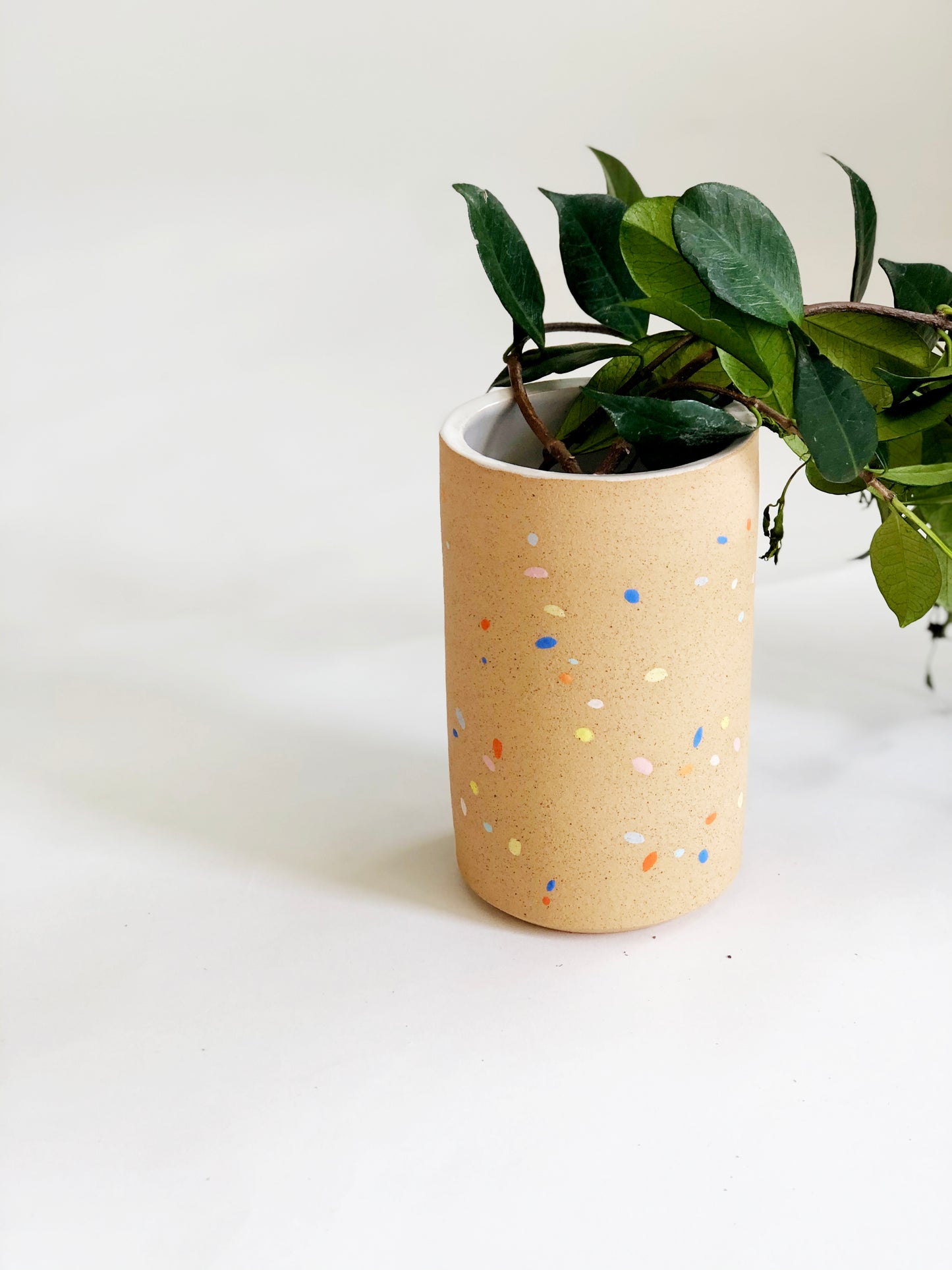 Sprinkles on Speckles Vase