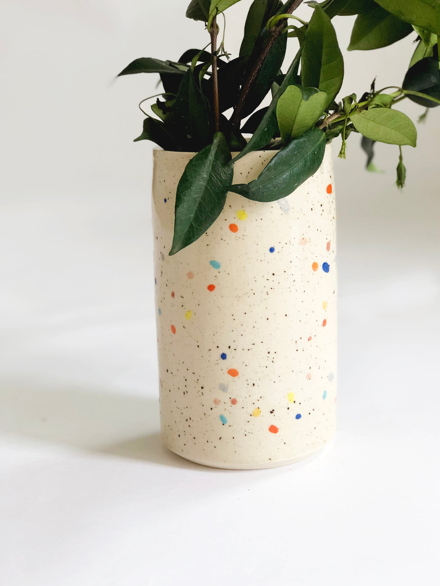 Double Sprinkles Vase