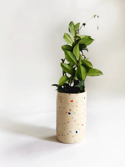 Double Sprinkles Vase