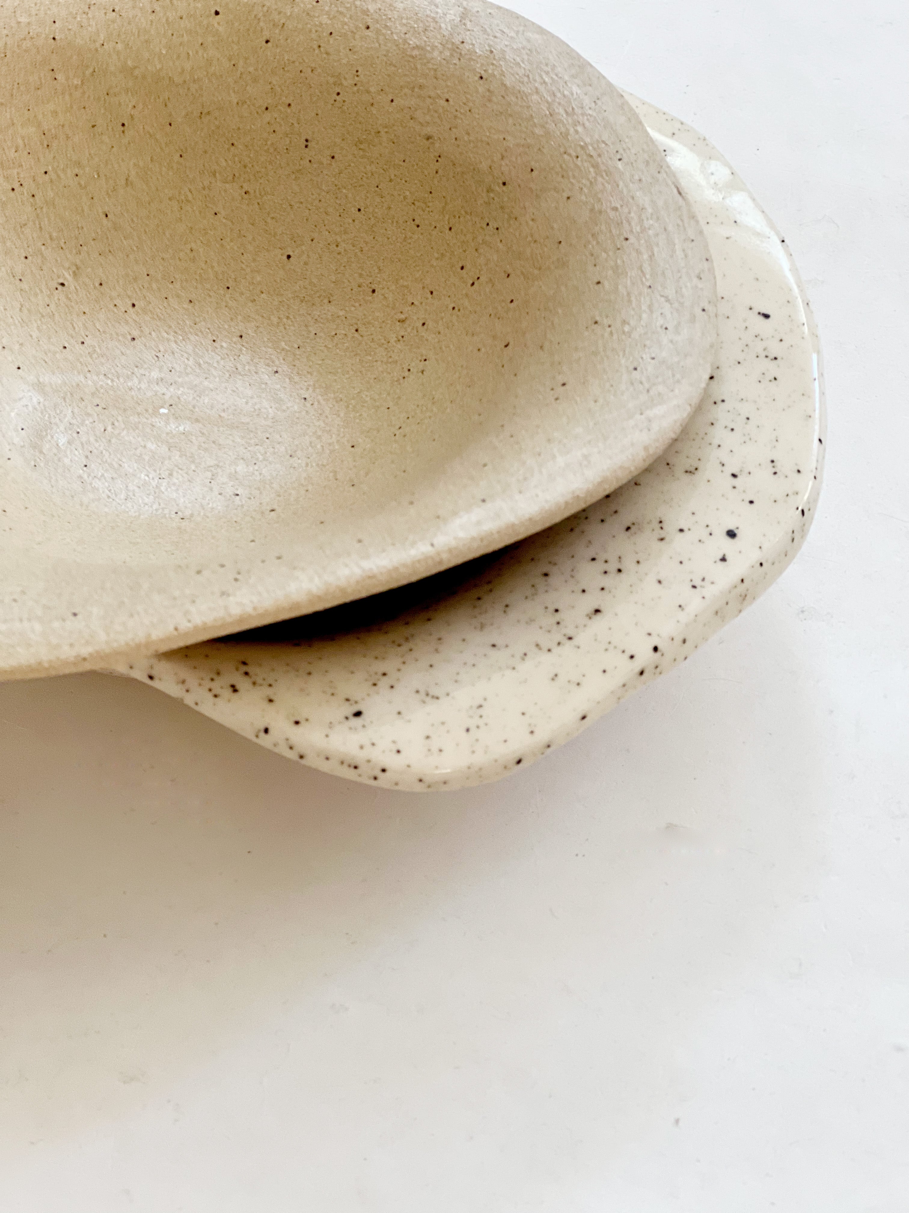 Canyon Landscape Plate/ Tray